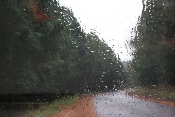 Rainy drop of water which adhered to the windshield of the car