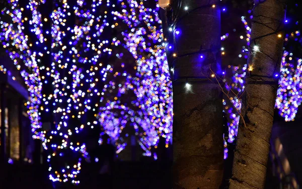 Iluminações Azuis Árvore Rua Cidade Noturna — Fotografia de Stock