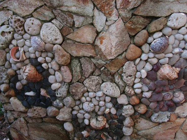 Ракушки среди камней — стоковое фото