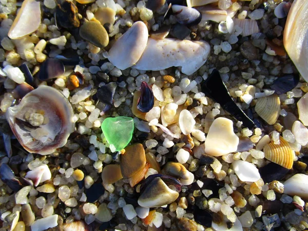 Маленькие ракушки на пляже — стоковое фото