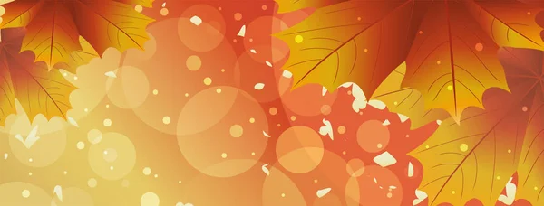 Sonbahar güneşli arka plan