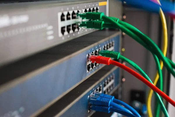 Blue, red and green network cables connected to switch — Stock Photo, Image