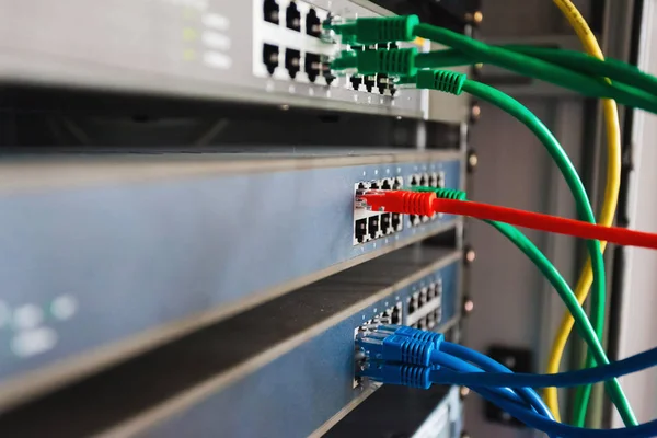 blue, red and green network cables connected to switch