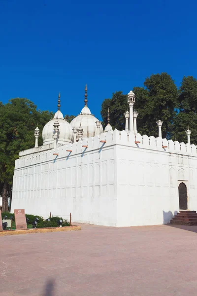 Moti Masjid Mezquita Perlas Red Fort Delhi India —  Fotos de Stock