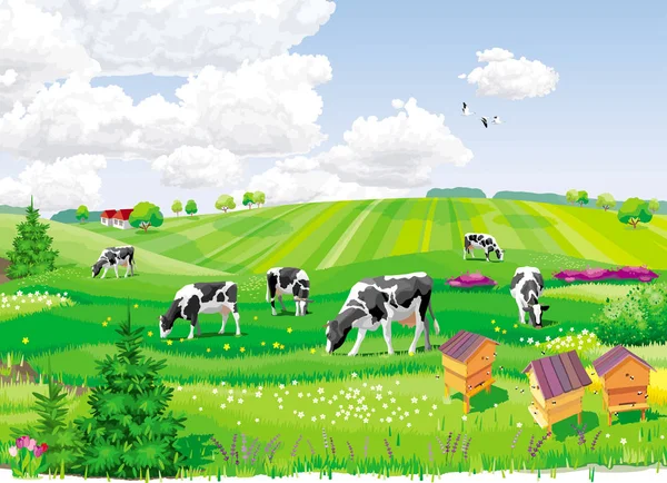 Verano paisaje rural — Vector de stock