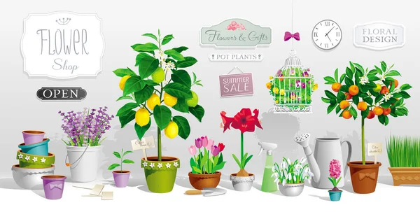 Collecte de plantes en pot — Image vectorielle