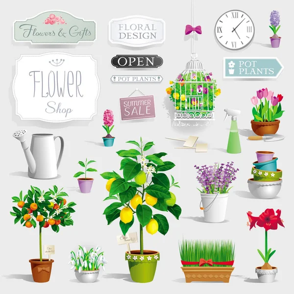 Set van de potplanten en tuingereedschap — Stockvector