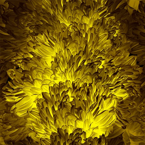 Gold leuchtende Chrysanthemenblume nahtlosen Vektor Hintergrund — Stockvektor