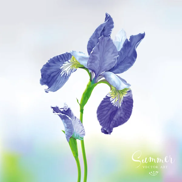 Iris bleu vecteur fleur — Image vectorielle