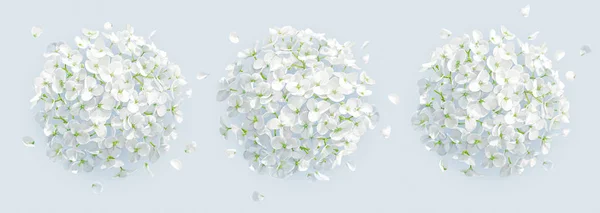 Arbre vecteur blanc fond hortensias — Image vectorielle