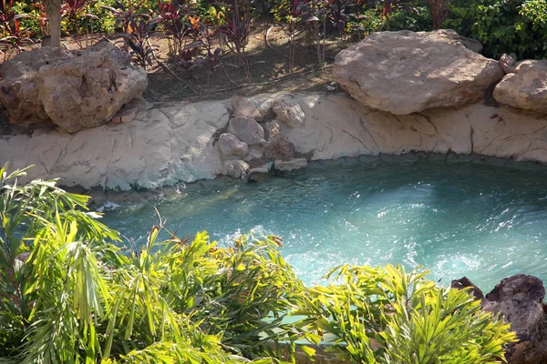 Arroyo jardín tropical Imágenes de stock libres de derechos