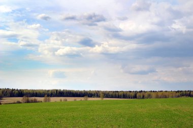 Bir bahar alan görünümünü