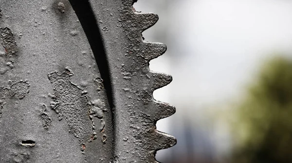 Old gear contrast view — Stock Photo, Image