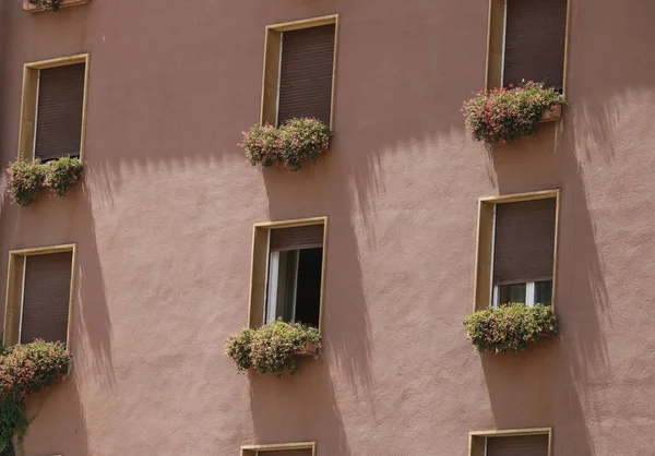 Windows çiçeklere