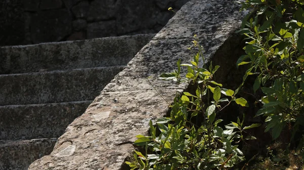 Bir taş merdiven closeup