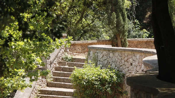 Steintreppe in einem Park Stockbild