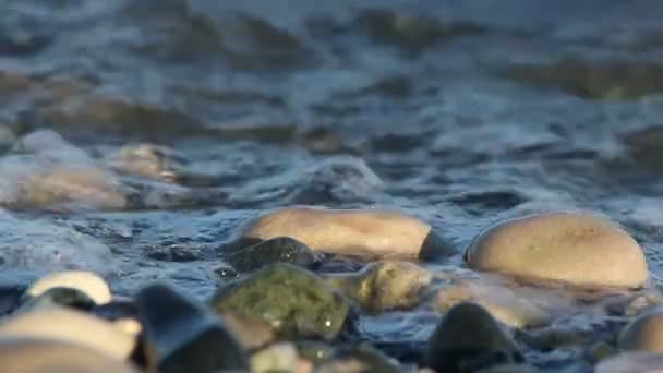 Closeup of shore pebble — Stock Video