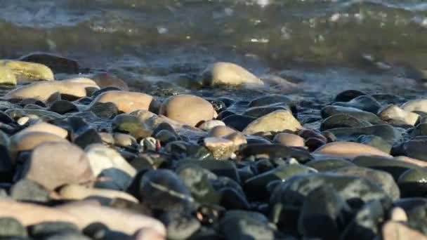 Κύματα ακτή της θάλασσας και πέτρες — Αρχείο Βίντεο