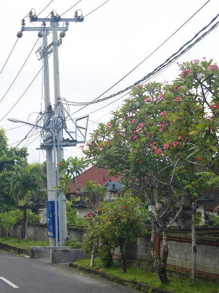 Bali köy sokak tezat