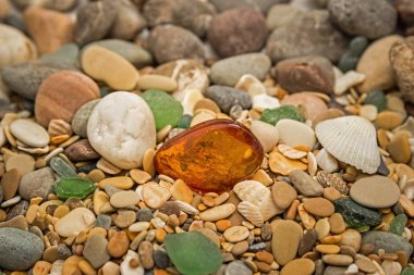 Kehribar taşı. Mineral amber. Reçine sarı amber. Sunstone çakıl bir plajda. 