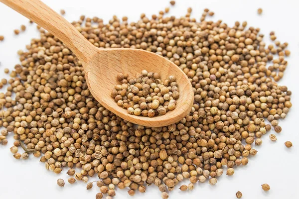 Bir tahta kaşık beyaz bir arka plan üzerinde kişniş tohumu. Salantro izole. Coriandrum sativum. Ortak tohum.