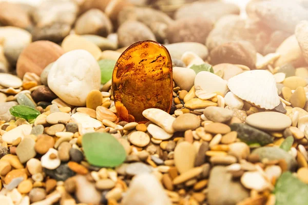 Pierre ambrée. Ambre minéral. Colophane jaune ambre. Pierre de soleil sur une plage de galets . — Photo