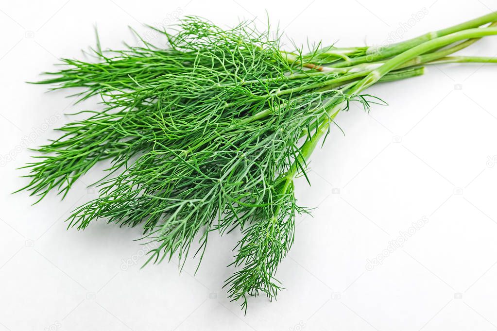 Pictures dill herb Dill weed. Fresh dill greens. Fennel isolated on