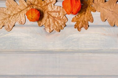 Sonbahar afiş. Kabak, Kuru meşe yaprakları ve physalis hafif ahşap arka plan üzerinde.