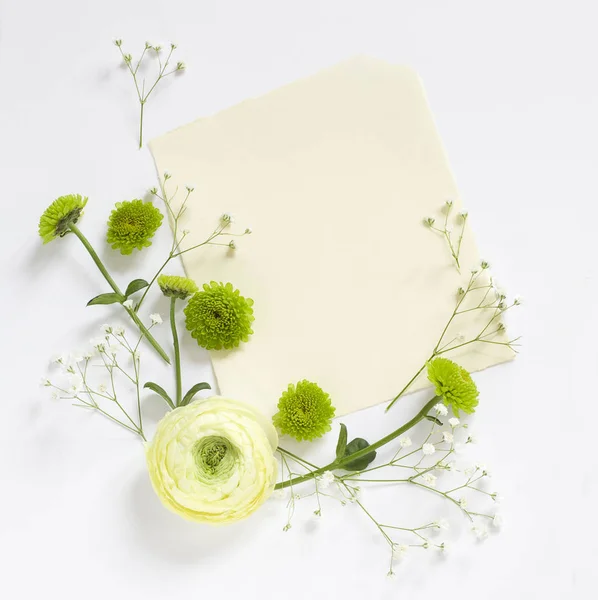 Jemné Květiny Rostliny Bílém Pozadí Prázdné Místo — Stock fotografie