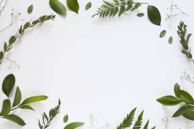 Yaz çiçek kompozisyon kopya alanı ile. Yeşil yaprakları ve beyaz arka plan üzerinde beyaz çiçekler. Düz yatıyordu, en iyi görünümü.