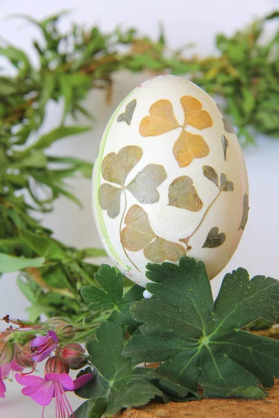 Easter Eggs Hand Made Decoration Decoupage Technique Herbaceous Flowers Leaves — Stock Photo, Image