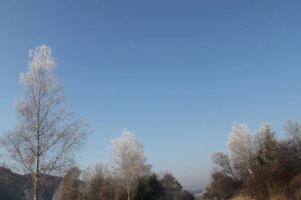 Road Way Perspective Motion Blur Winter Tree — Stock Photo, Image