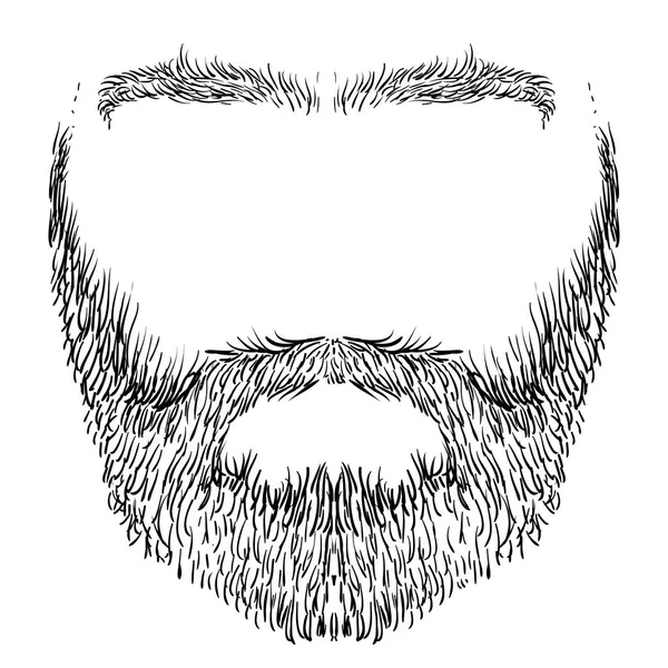 Barba, bigote, cejas — Vector de stock