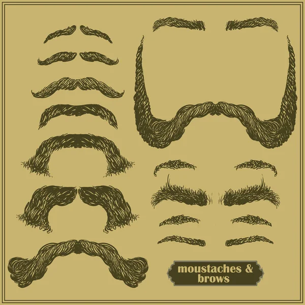 Barba, bigote, cejas — Vector de stock