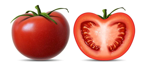 Tomate vermelho brilhante inteiro e meio tomate em um fundo branco . —  Vetores de Stock