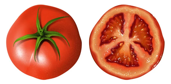 Whole bright red tomato and half a tomato on a white background. — ストックベクタ