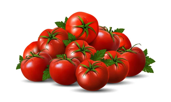 A bunch of red tomatoes with green ponytails on a white backgrou — ストックベクタ