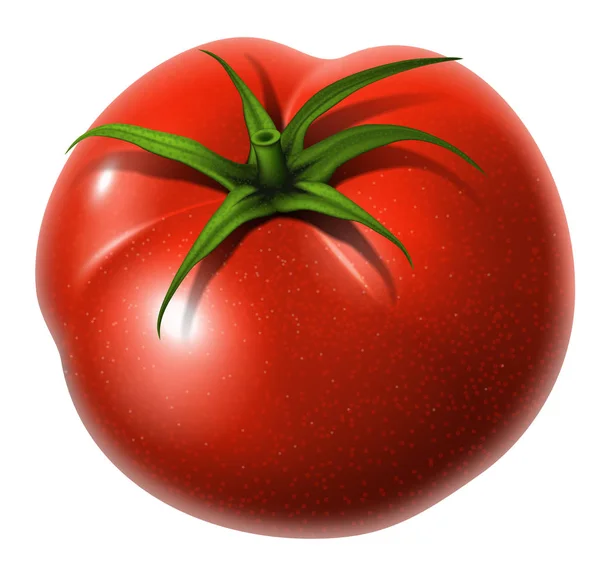 Большой красный помидор с зелёным хвостиком на белом фоне. Высокий — стоковый вектор