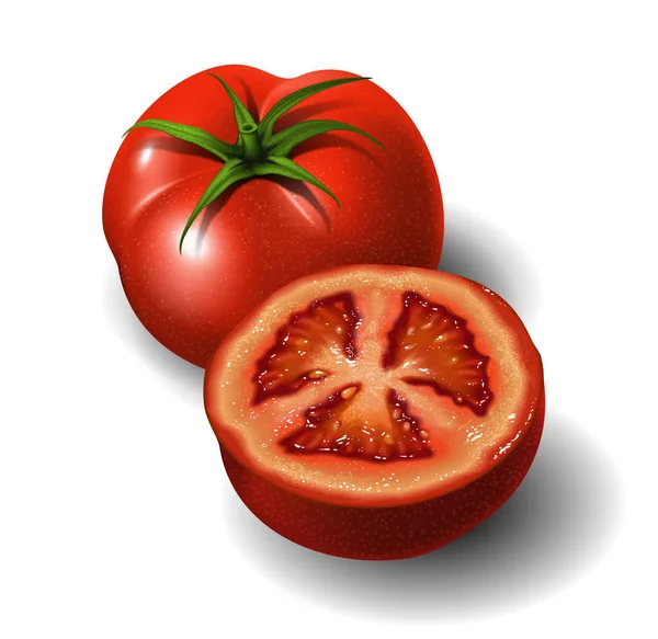 Whole bright red tomato and half a tomato on a white background. — ストックベクタ