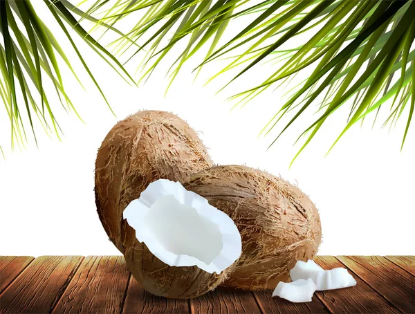 Deux morceaux et demi de noix de coco reposent sur une table en bois — Image vectorielle