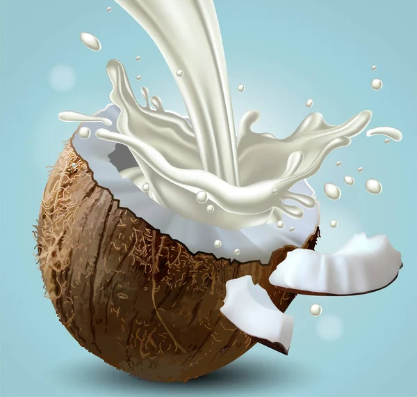 Kokosové mléko je postříkáno kokosovými postřikovači. Vysoce reali — Stockový vektor