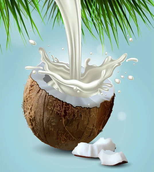 Kokosmilch wird mit Kokosnussstreuern bespritzt. Hochgradig realistisch — Stockvektor