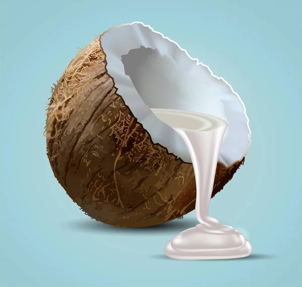 Το γάλα καρύδας χύνεται από μισό καρύδι. Εξαιρετικά ρεαλιστική ilustr — Διανυσματικό Αρχείο