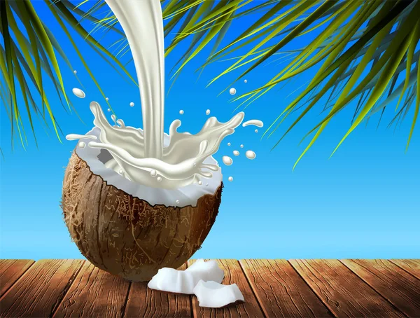 Половина кокоса и капля молока. Очень подробные реалии — стоковый вектор