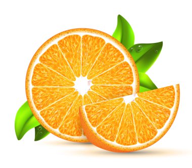 İki dilim yeşil yapraklı narenciye. Çok gerçekçi bir illüstrasyon.