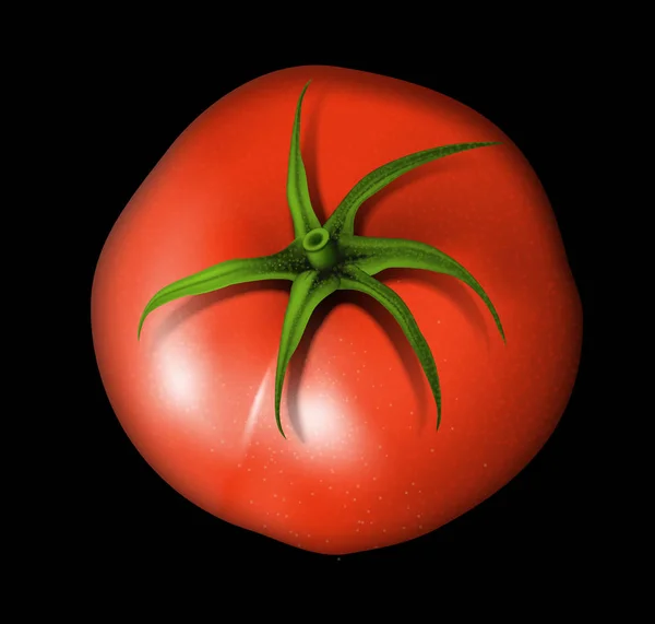 Duży czerwony pomidor z zielonym kucykiem na czarnym tle. Wysoka — Wektor stockowy