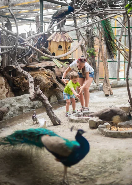 Child with mother on a bird farm feeds the birds — Stock Photo, Image