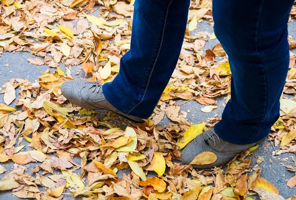 Legs on autumn yellow fallen leaves — Stock Photo, Image