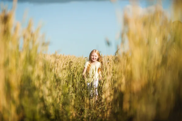 Счастливая симпатичная девочка, играющая на пшеничном поле — стоковое фото