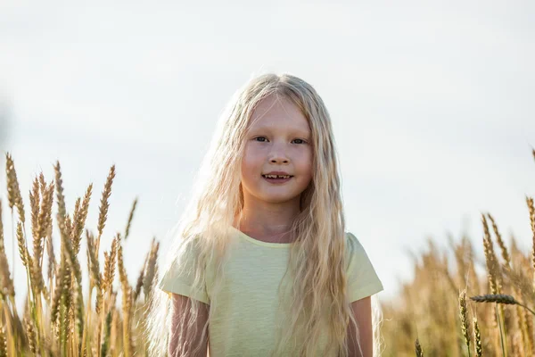 Dívka v pšeničném poli — Stock fotografie